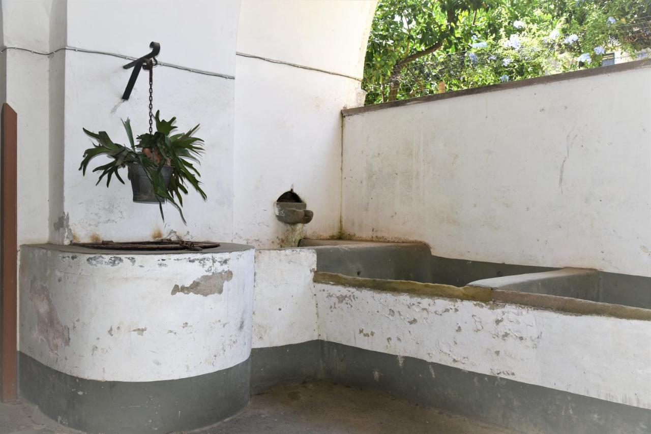 Casa Vacanza "Nonna Matilde" A Meta Di Sorrento, 600Mt Dal Mare, Casa Per 4 Zewnętrze zdjęcie