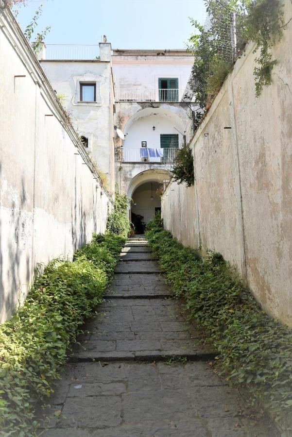 Casa Vacanza "Nonna Matilde" A Meta Di Sorrento, 600Mt Dal Mare, Casa Per 4 Zewnętrze zdjęcie